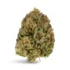 Strawberry Cough The Hemp Source WS