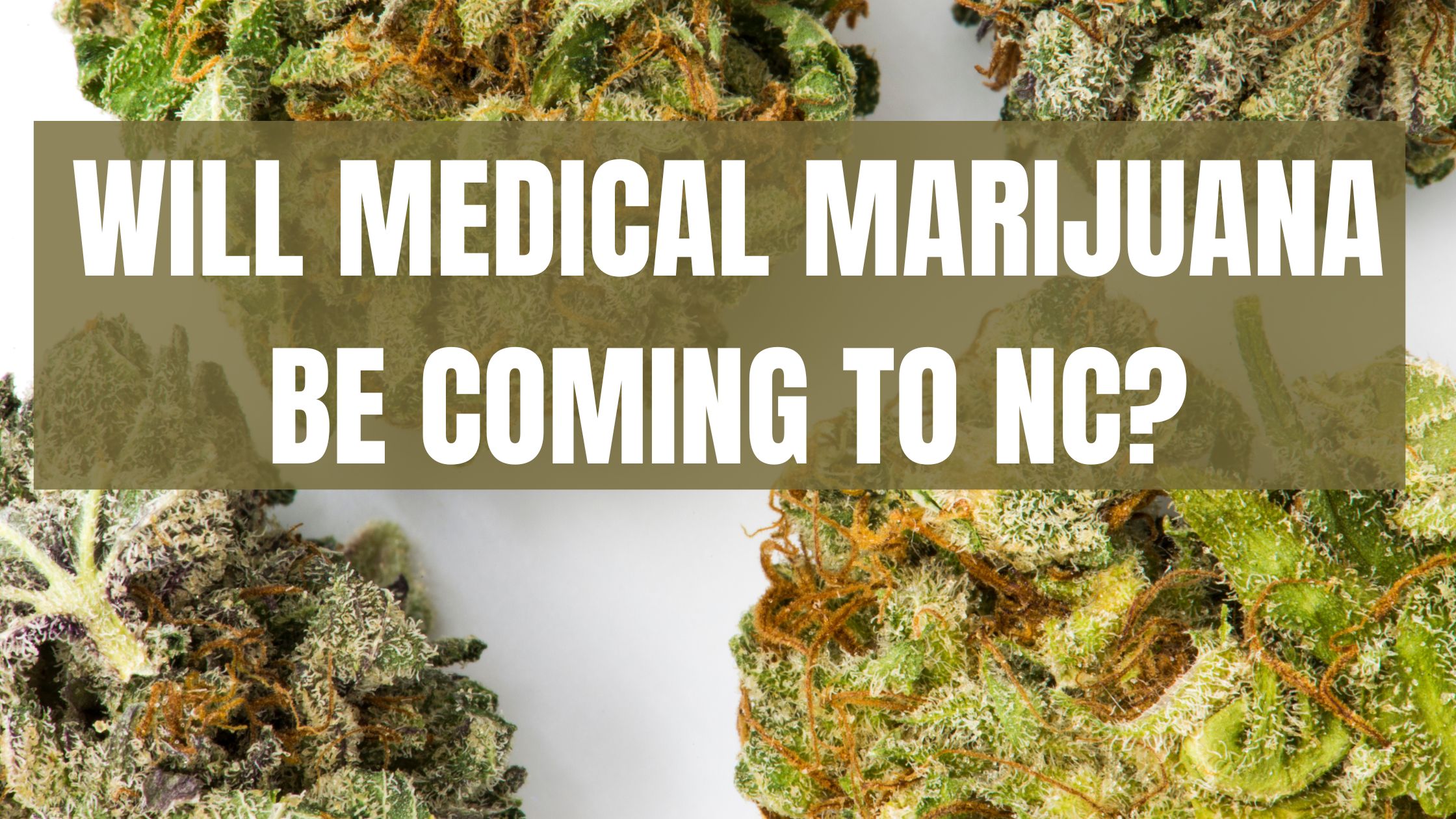 WILL MEDICAL MARIJUANA BE COMING TO NC?