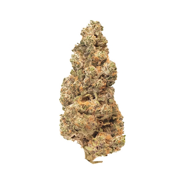 Apple Fritter THCa Flower by The Hemp Source