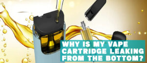 Read more about the article Why is My Vape Cartridge Leaking from the Bottom? 5 Reasons & Solutions