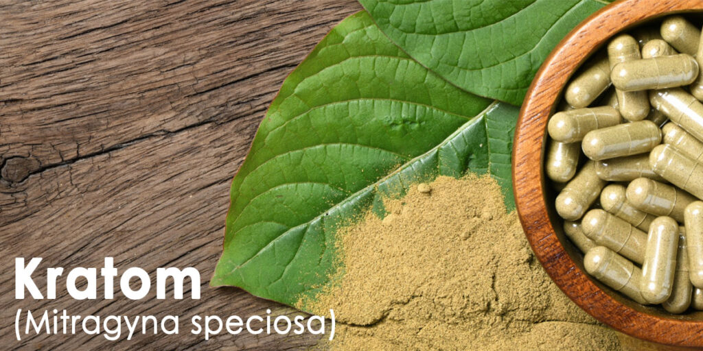 What is Kratom is Kratom Safe